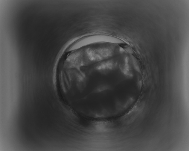 X0000100920200200807151229