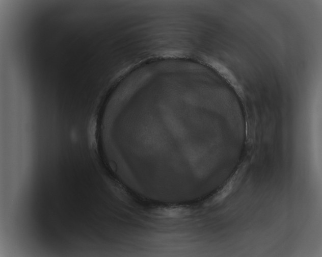 X0000100920201200807151229
