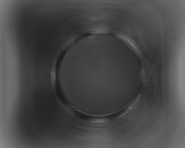 X0000100920202200807151229