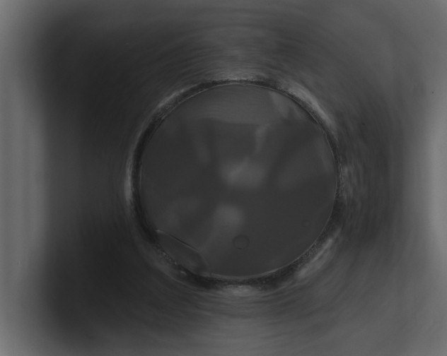 X0000100920203200807151229