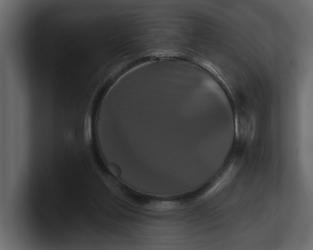 X0000100920205200807151229