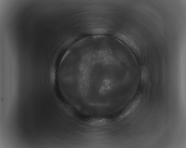 X0000100920206200807151229