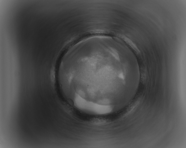 X0000100920207200807151229