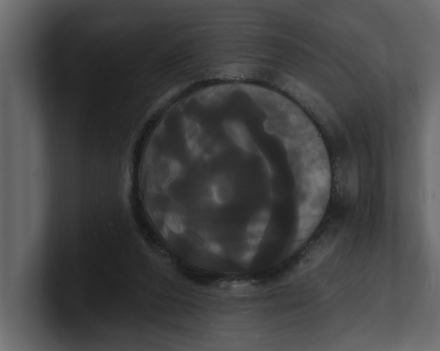 X0000100920208200807151229
