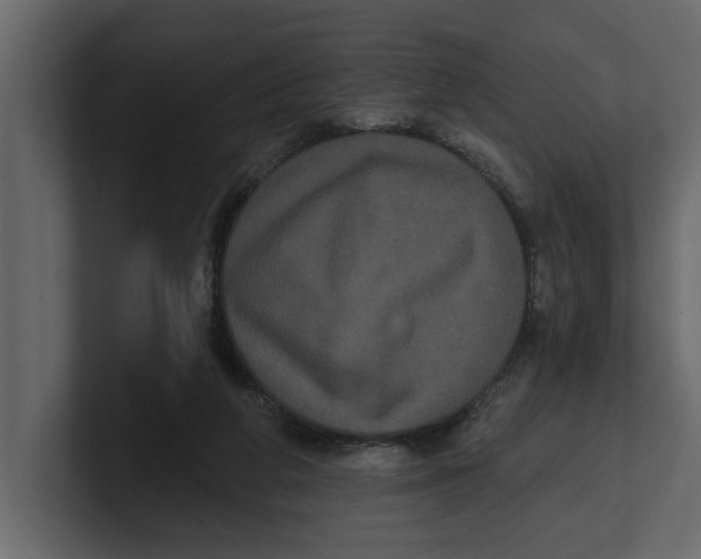 X0000100920210200807151229