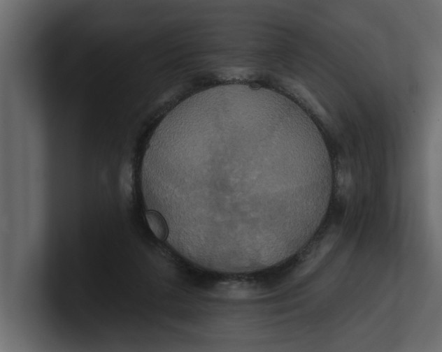 X0000100920211200807151229