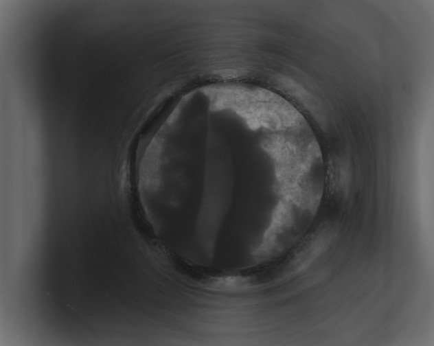 X0000100920212200807151229