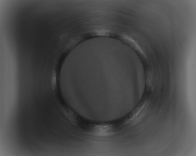 X0000100920213200807151229