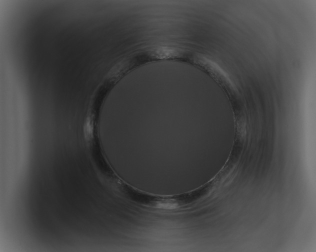 X0000100920214200807151229
