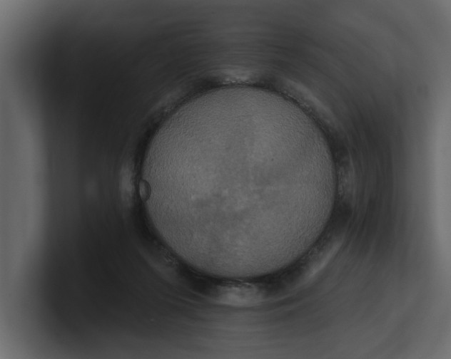 X0000100920215200807151229
