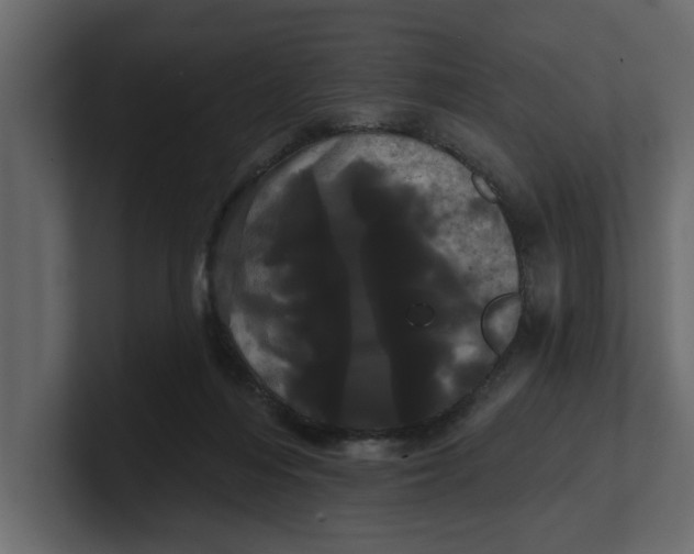 X0000100920216200807151229