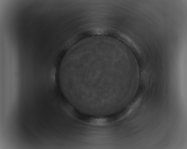 X0000100920217200807151229