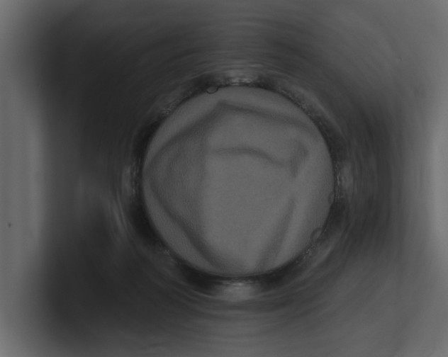 X0000100920218200807151229