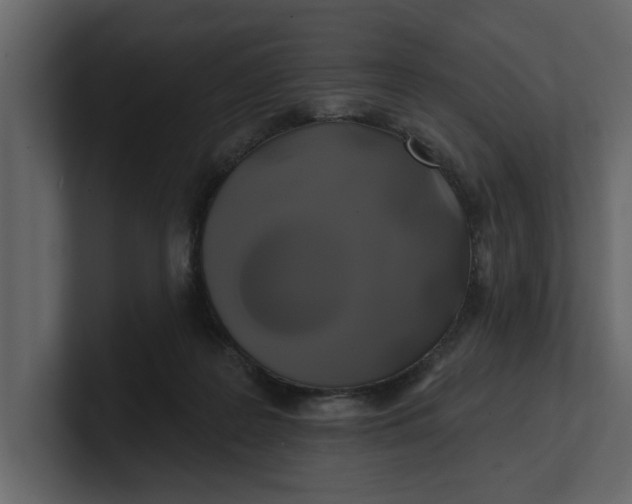 X0000100920219200807151229