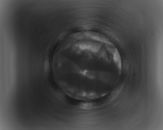 X0000100920220200807151229