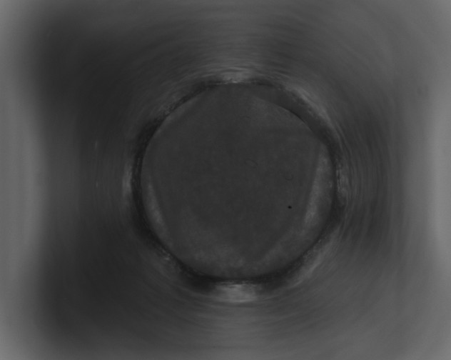 X0000100920221200807151229