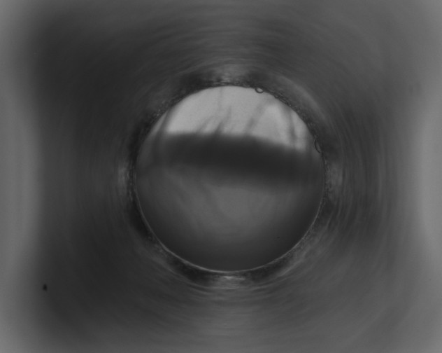 X0000100920222200807151229