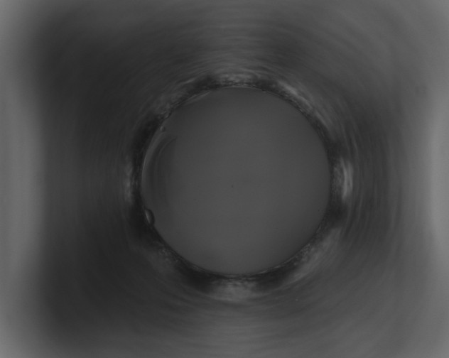 X0000100920223200807151229