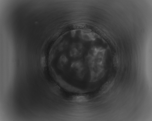 X0000100920224200807151229