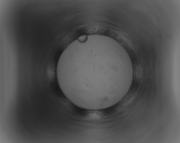 X0000100920226200807151229