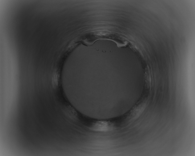 X0000100920227200807151229