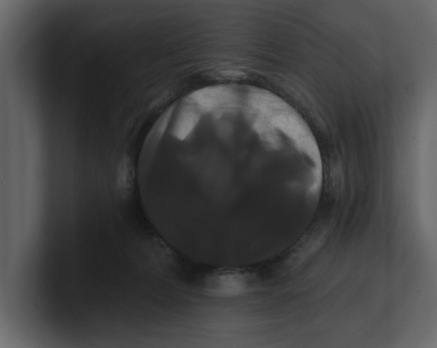 X0000100920228200807151229