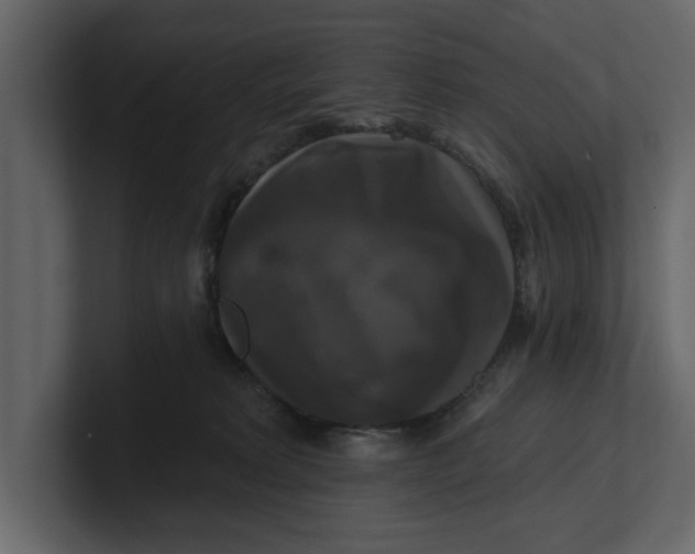 X0000100920229200807151229