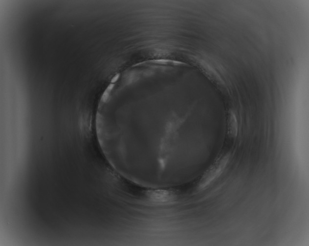 X0000100920230200807151229