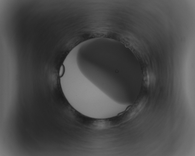 X0000100920231200807151229