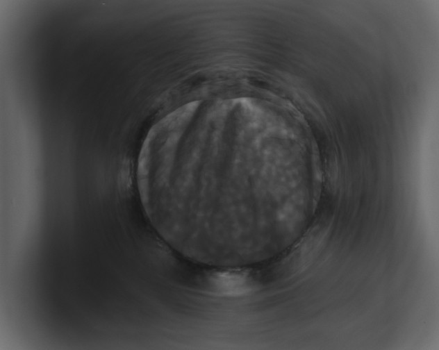 X0000100920232200807151229