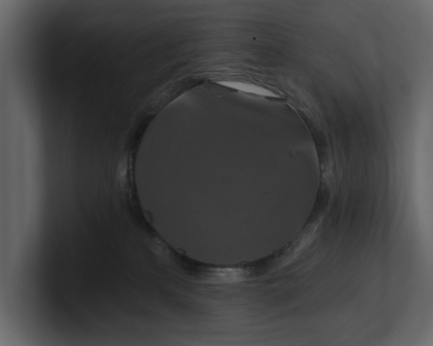 X0000100920233200807151229