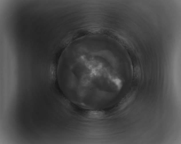 X0000100920234200807151229
