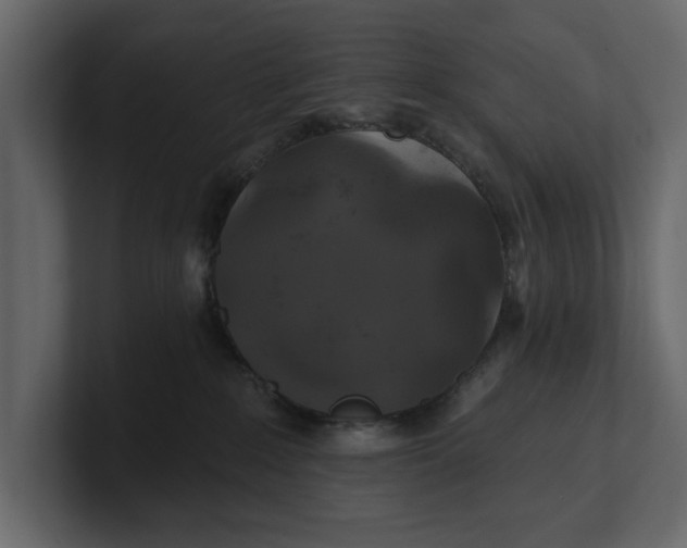 X0000100920235200807151229