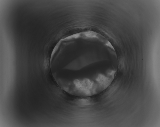 X0000100920236200807151229