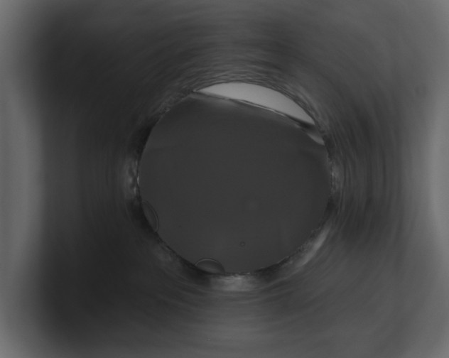 X0000100920237200807151229