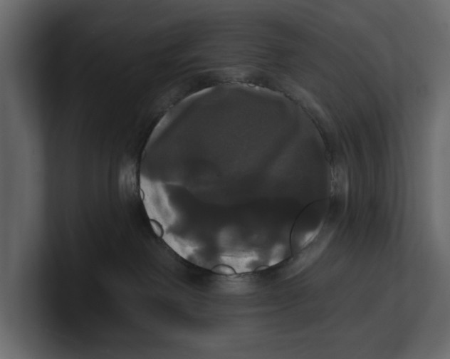 X0000100920238200807151229
