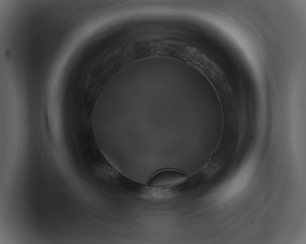 X0000100920239200807151229