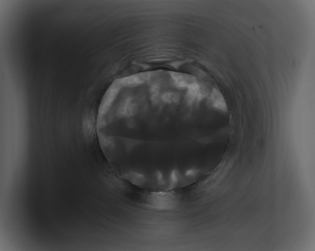 X0000100920240200807151229