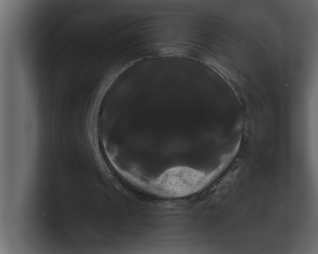X0000100920241200807151228