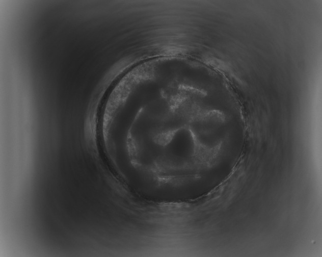 X0000100920242200807151228