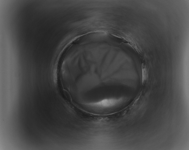 X0000100920243200807151228