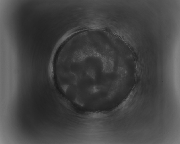 X0000100920246200807151228