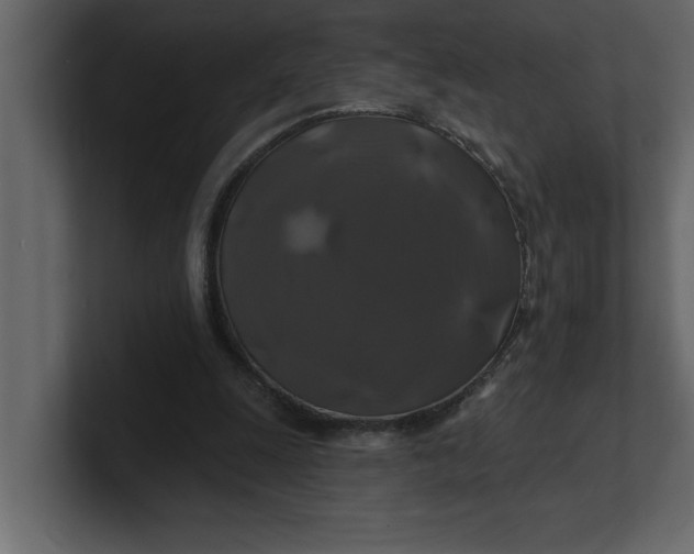 X0000100920247200807151228