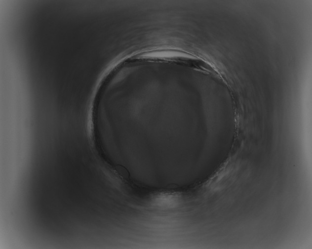 X0000100920248200807151228