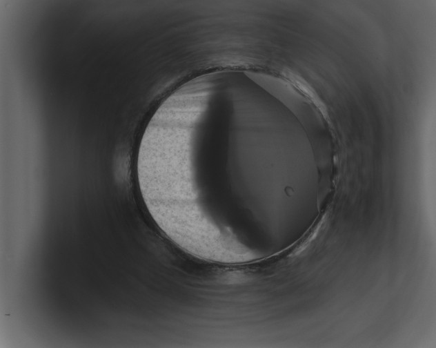 X0000100920249200807151228