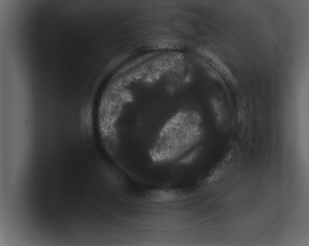 X0000100920250200807151228