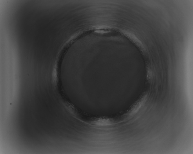 X0000100920256200807151228