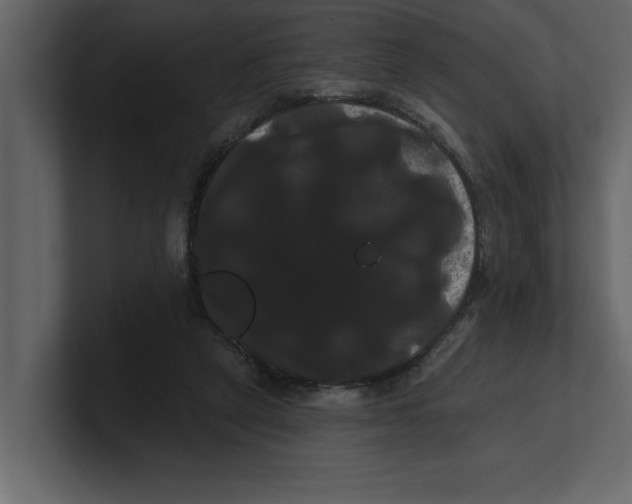 X0000100920257200807151228