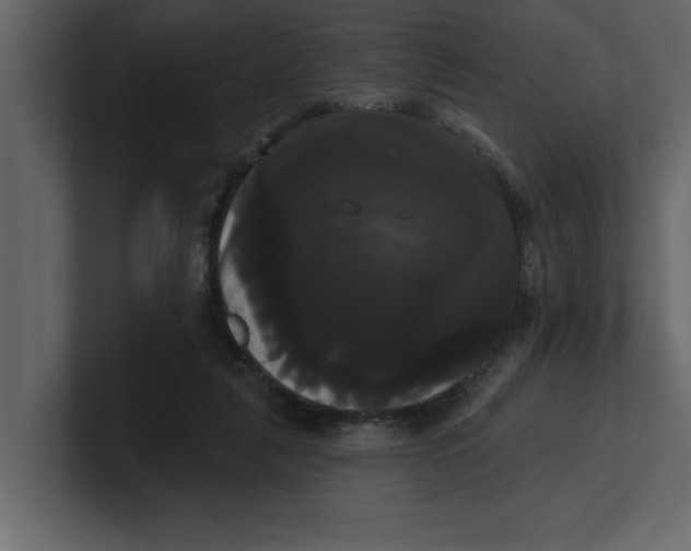 X0000100920259200807151228