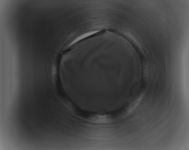 X0000100920260200807151228